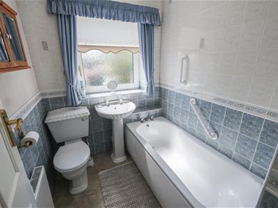 Picture 14